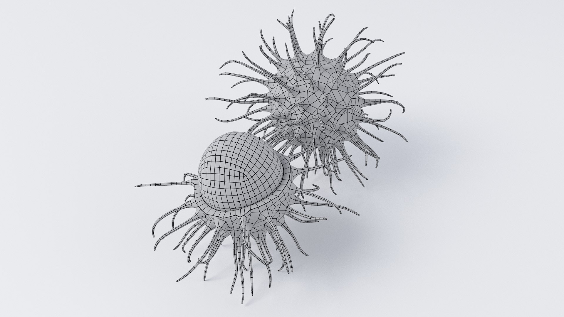 3D Cartoon Rambutan Set model https://p.turbosquid.com/ts-thumb/kX/SKYo9U/cX/rambutan_set_13/jpg/1690357484/1920x1080/fit_q87/df614eb96b20105fff1fc75d05f04c2fc3043f05/rambutan_set_13.jpg