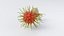 Cartoon Rambutan Set