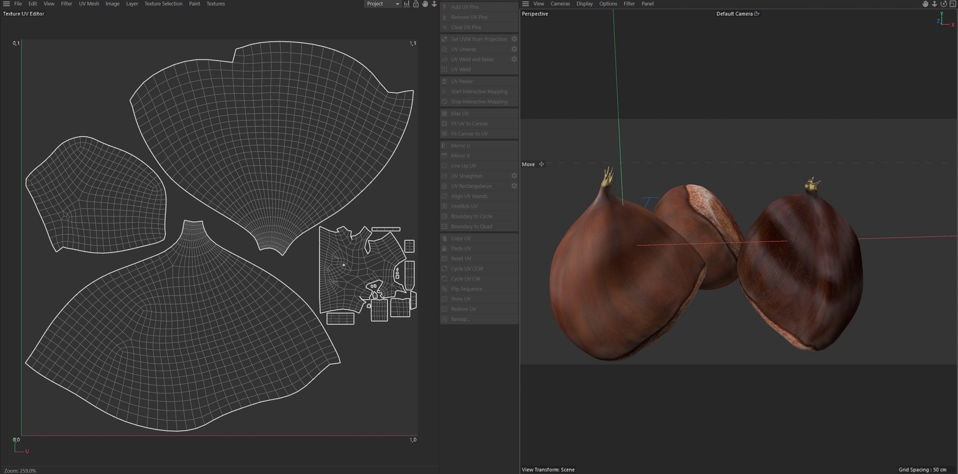 Chestnut Kernel 3D Model - TurboSquid 2406464