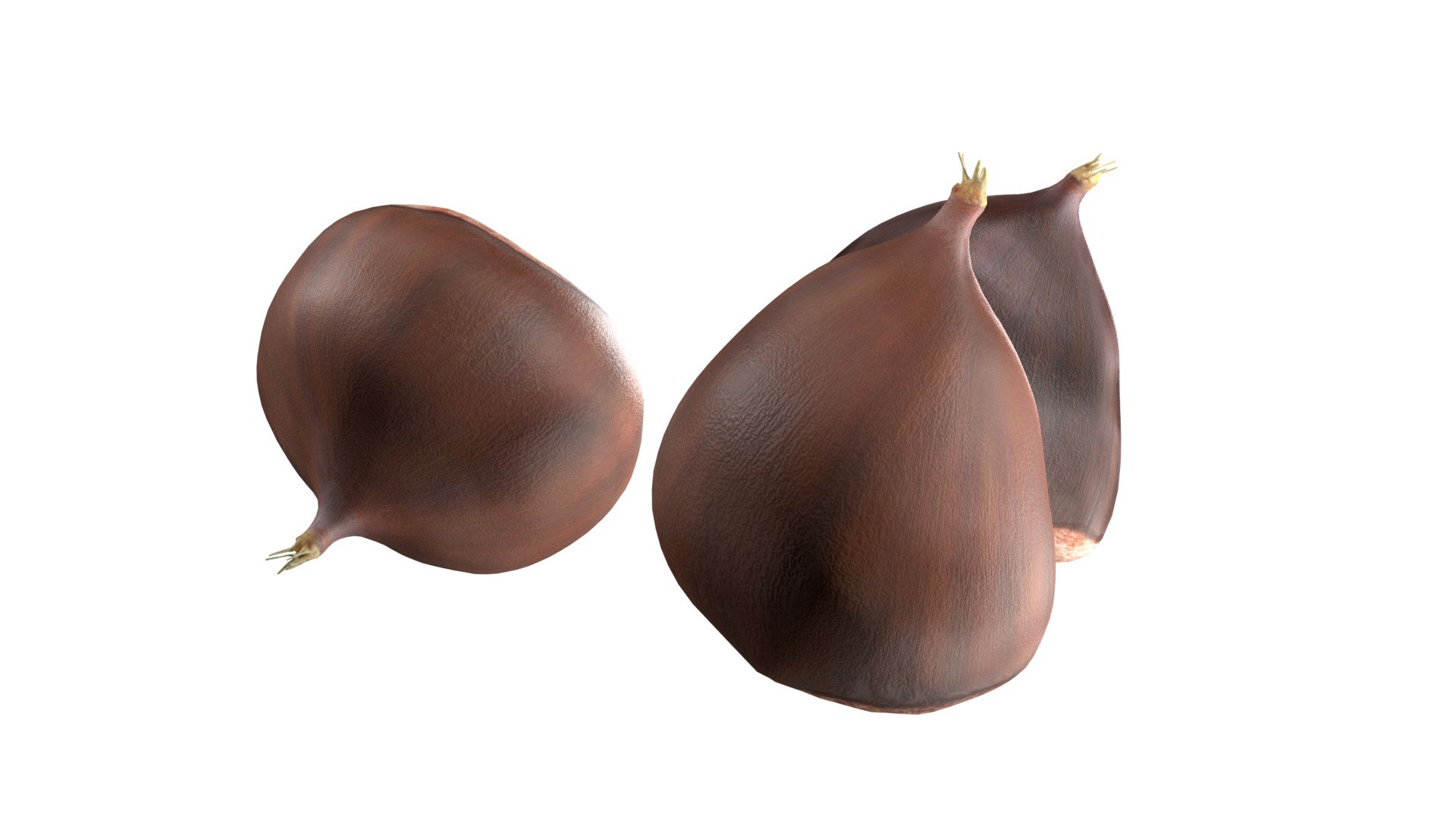 Chestnut Kernel 3D Model - TurboSquid 2406464