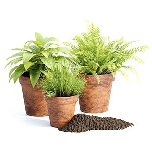 3D Lowpoly Pot Plants collection vol 228