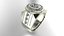 Herrenring 300