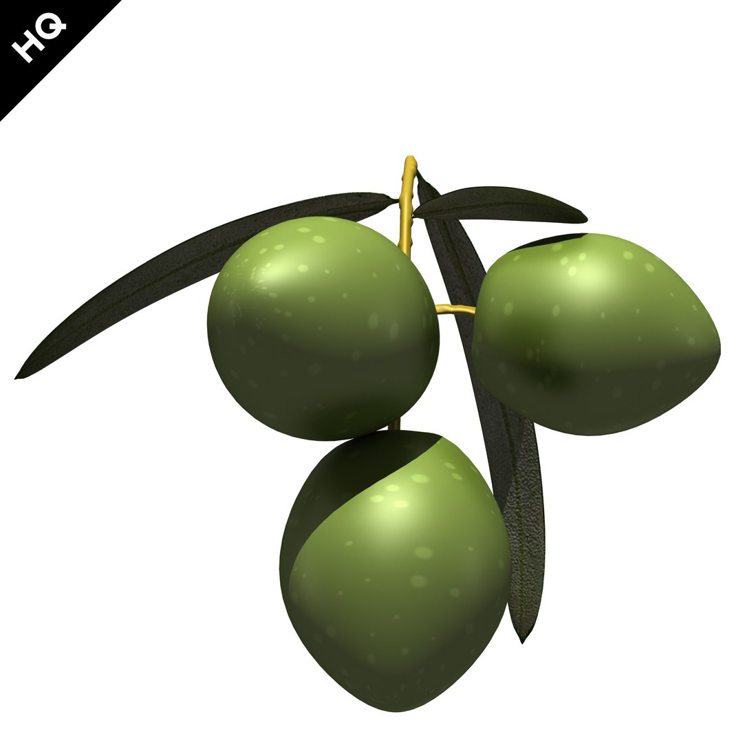 3d Olives Branch Model