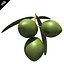 Aceituna
