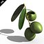 Aceituna