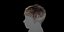 Crop Hairstyle v12 - Cheveux en temps réel prêts pour le jeu