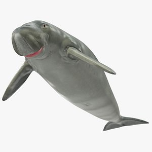 dugong dugon 3D model