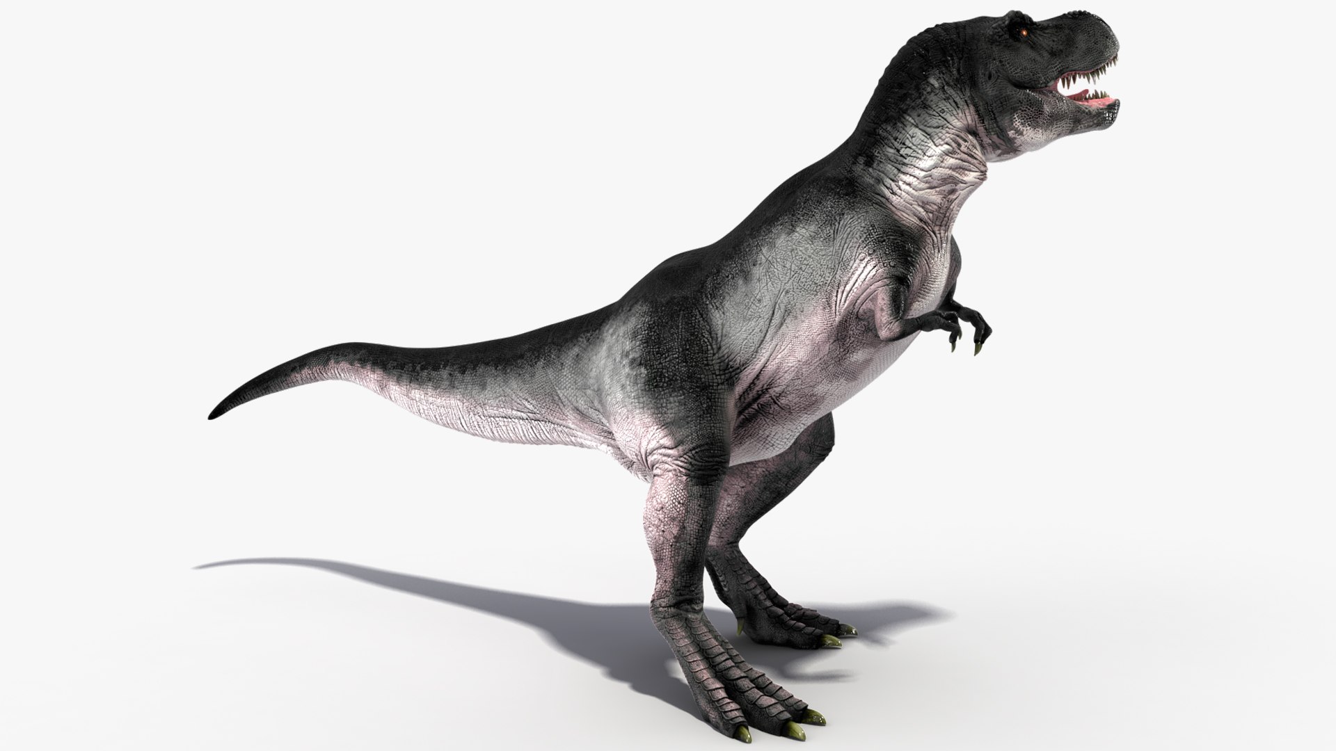 3D T Rex Stand Pose TurboSquid 2101973