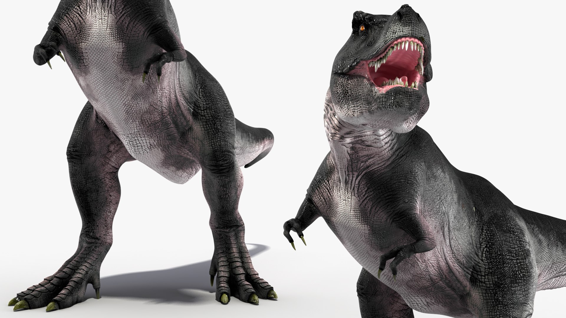 3D T Rex Stand Pose TurboSquid 2101973