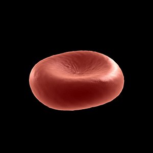 3d red globule blood