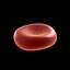 3d red globule blood