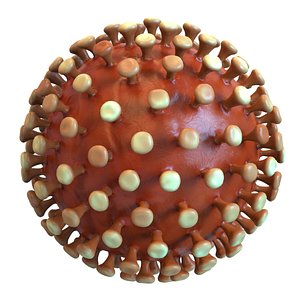 modeled coronavirus 3D model