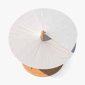 Leonardo Da Vinci Helicopter Wooden Concept Rigged for Cinema 4D 3D model