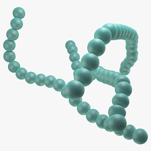 Bacteria (Streptococcus Pyogenes) Rigged