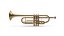 Instrument de trompette en laiton