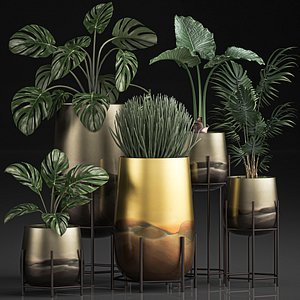 Decorative plants in Luxury Gold Pots for the interior 544