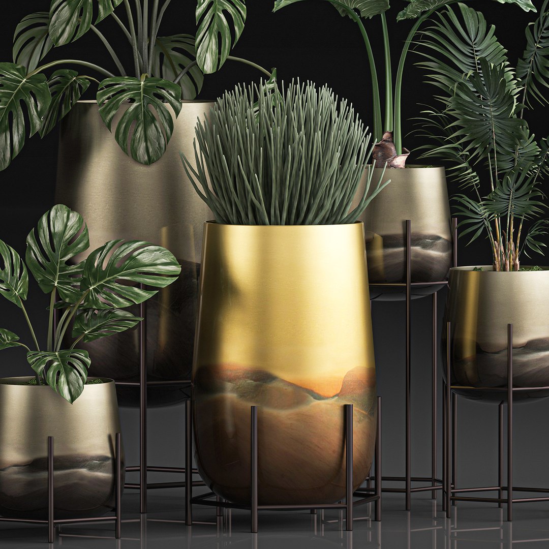 3D decorative plants pots interior https://p.turbosquid.com/ts-thumb/kY/ed7n0T/HFDuJ7QC/plantset1205202003/jpg/1589377549/1920x1080/fit_q87/f03be102ebeb3da0a082f92384d01f81890c6be8/plantset1205202003.jpg