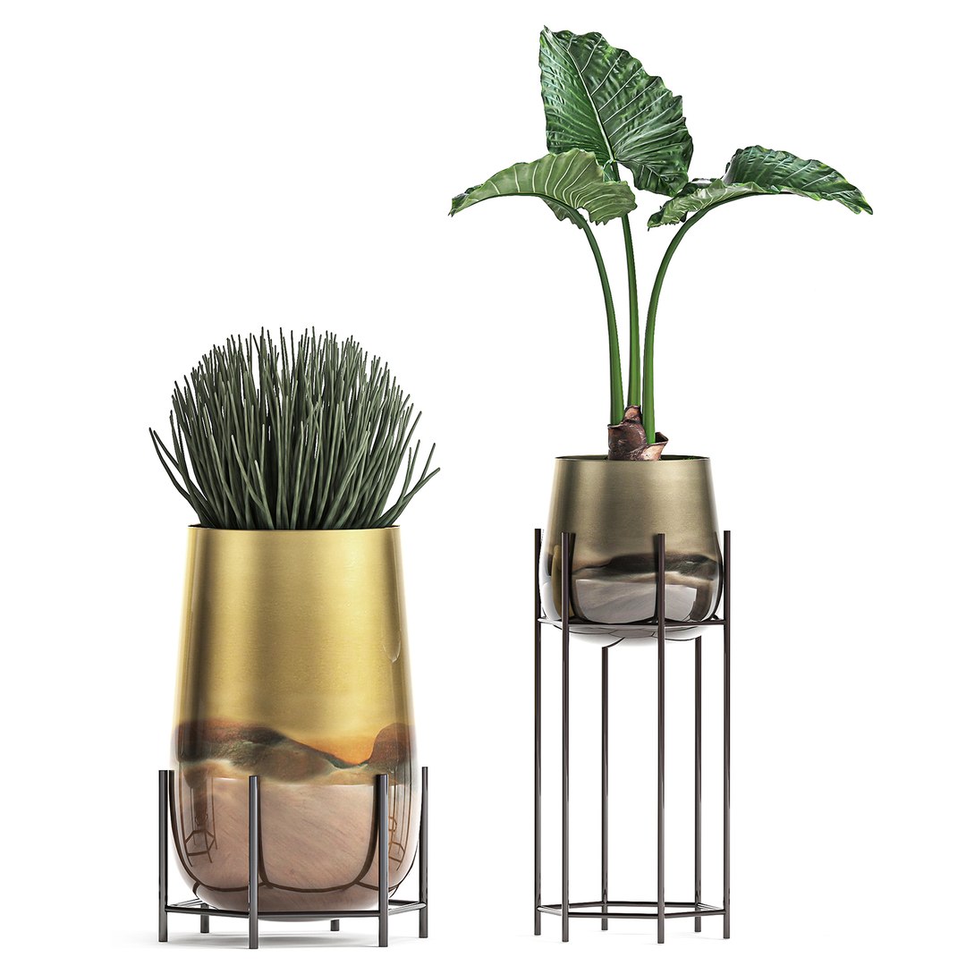 3D decorative plants pots interior https://p.turbosquid.com/ts-thumb/kY/ed7n0T/KOd5OxUo/plantset1205202006/jpg/1589377549/1920x1080/fit_q87/b073f462d616c9b6f41845277a5877f694f88452/plantset1205202006.jpg