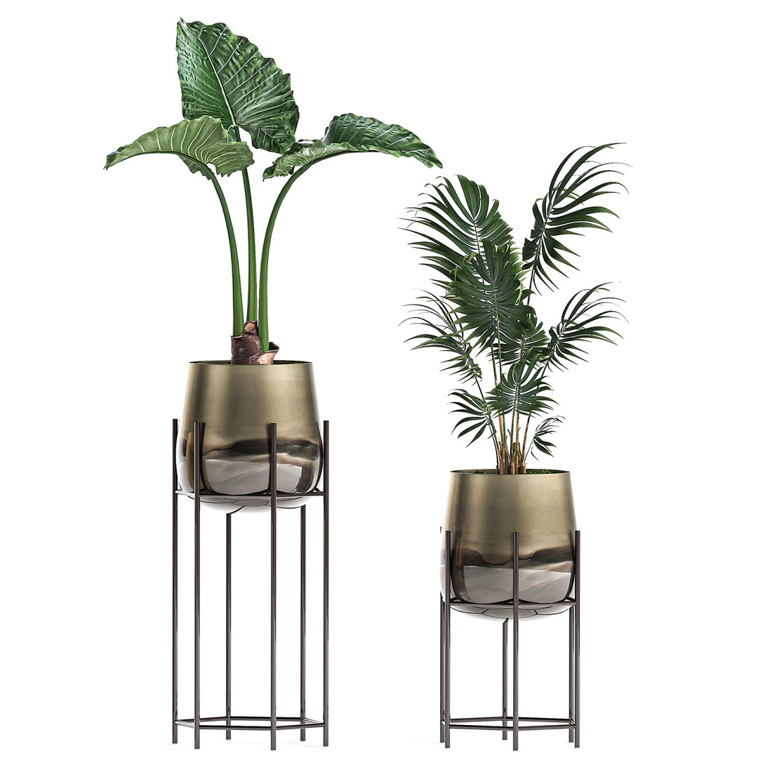 3D decorative plants pots interior https://p.turbosquid.com/ts-thumb/kY/ed7n0T/M9I0b21N/plantset1205202007/jpg/1589377549/1920x1080/fit_q87/8dcccd5cf026154be5517024c037551261a30629/plantset1205202007.jpg