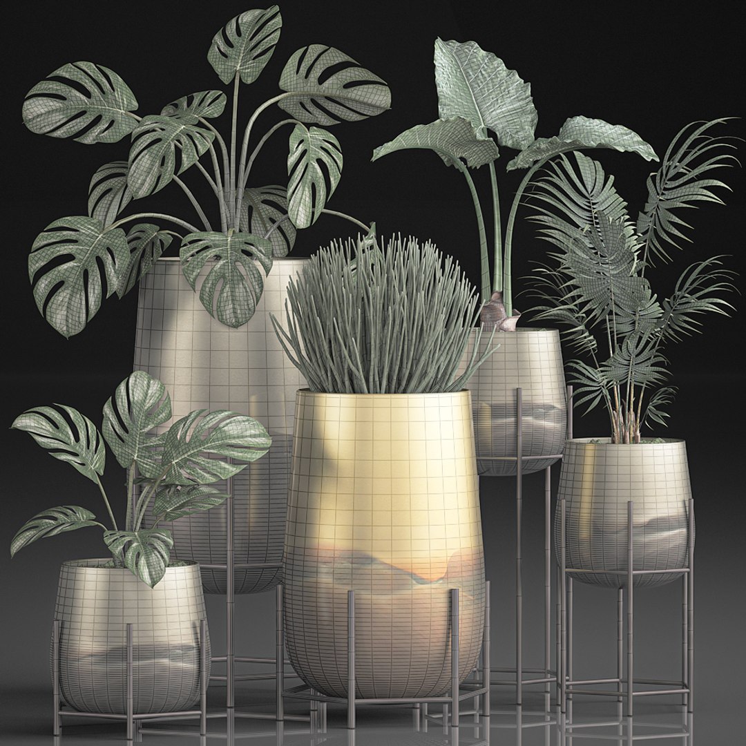 3D decorative plants pots interior https://p.turbosquid.com/ts-thumb/kY/ed7n0T/PXnFOTJl/plantset1205202008/jpg/1589377549/1920x1080/fit_q87/5dd5ce37da8d1c9c32a998d2c11f08b9ebbed962/plantset1205202008.jpg