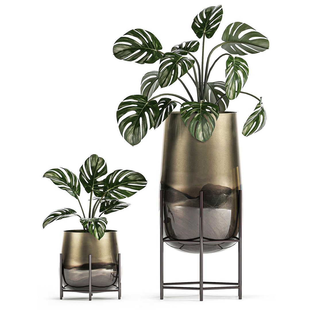 3D decorative plants pots interior https://p.turbosquid.com/ts-thumb/kY/ed7n0T/bhtwJvHm/plantset1205202005/jpg/1589377549/1920x1080/fit_q87/255ec299e4a3ad17b4d1556a700b11b938c18b33/plantset1205202005.jpg
