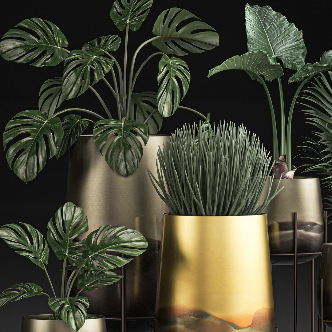 3D decorative plants pots interior https://p.turbosquid.com/ts-thumb/kY/ed7n0T/sU6zqmWy/plantset1205202001/jpg/1589377549/1920x1080/fit_q87/71fcf718d005eeea35a5a204c485143a09219472/plantset1205202001.jpg
