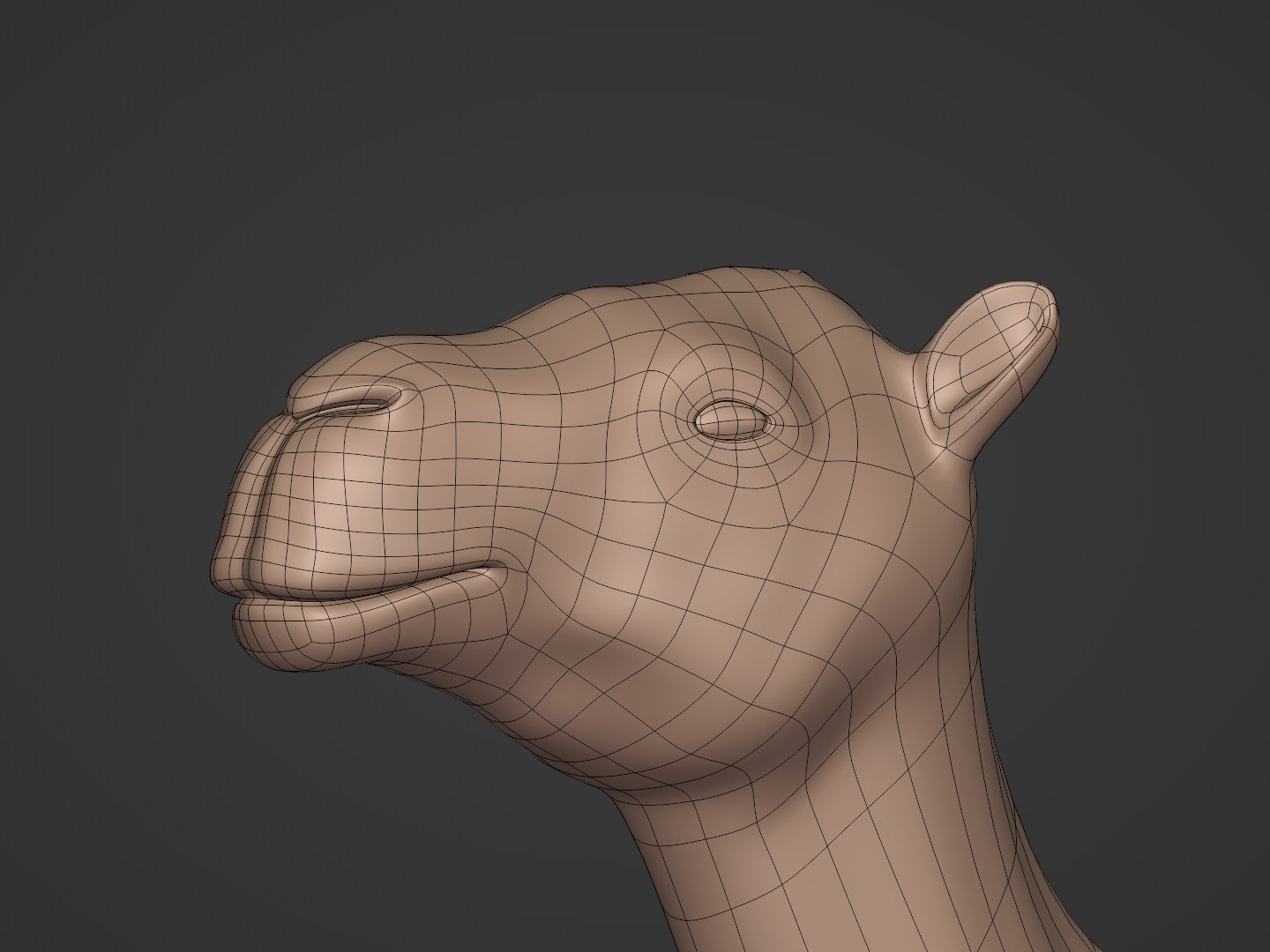 3D Animals Pack model https://p.turbosquid.com/ts-thumb/kY/fh8TRx/M4/i17/jpg/1644326866/1920x1080/fit_q87/b010975004663cdb94a04ebfd316b7c4a78ea917/i17.jpg