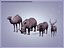 Pacote de Animais