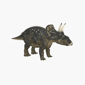 3D Diceratops model