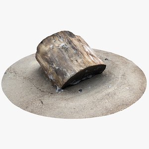 rustic wood stump 5 3D model