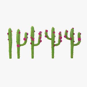 Cartoon Cactus Pack model