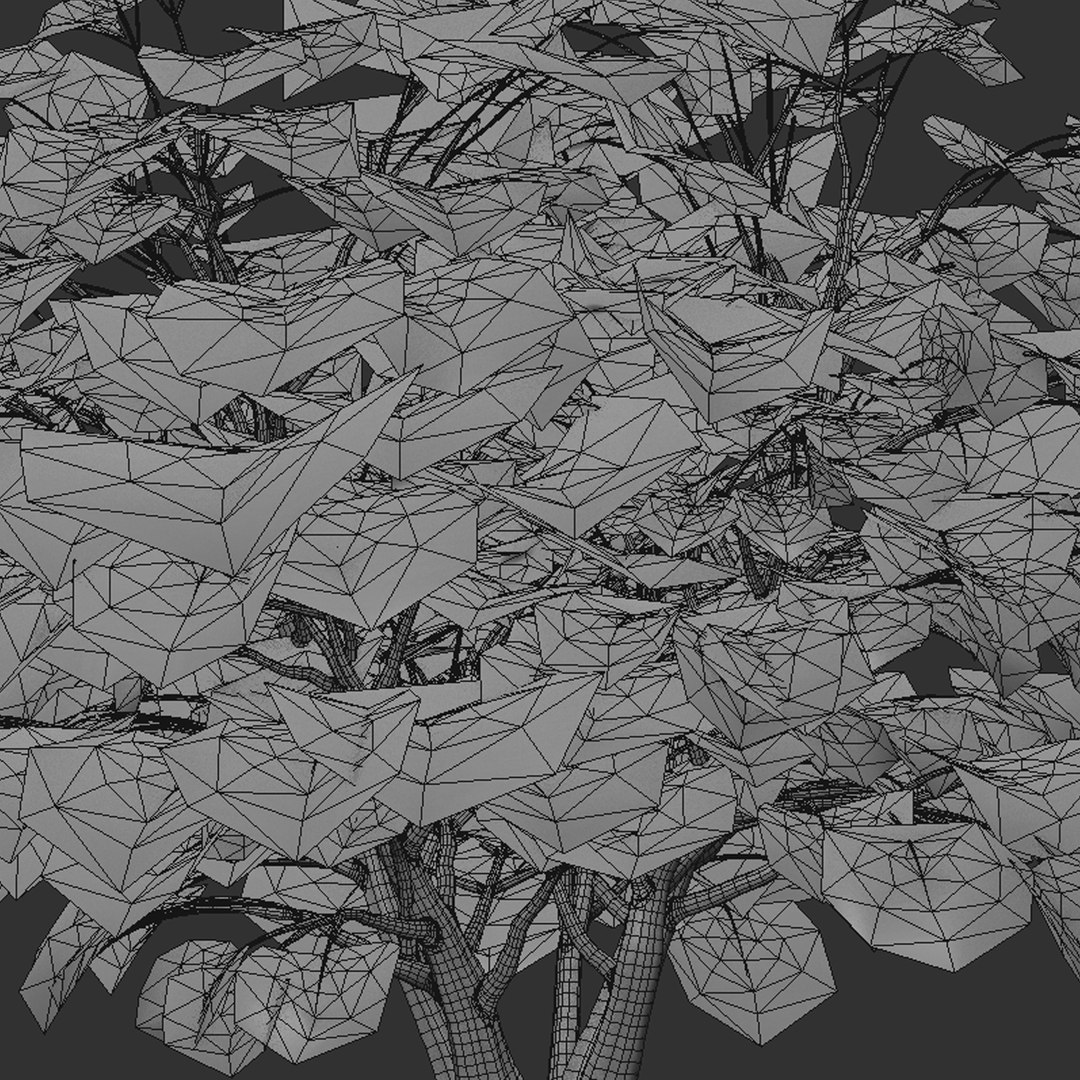 3D Set of Fatsia japonica or Japanese aralia bush - 4 Bushes model https://p.turbosquid.com/ts-thumb/kY/ltydE6/tQ/fatisajaponica5t/jpg/1670482072/1920x1080/fit_q87/ec098a2899b371cd48e8314c830e4bc3f037c84c/fatisajaponica5t.jpg