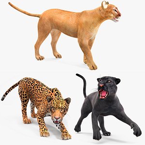 Big Cats Rigged Collection for Maya