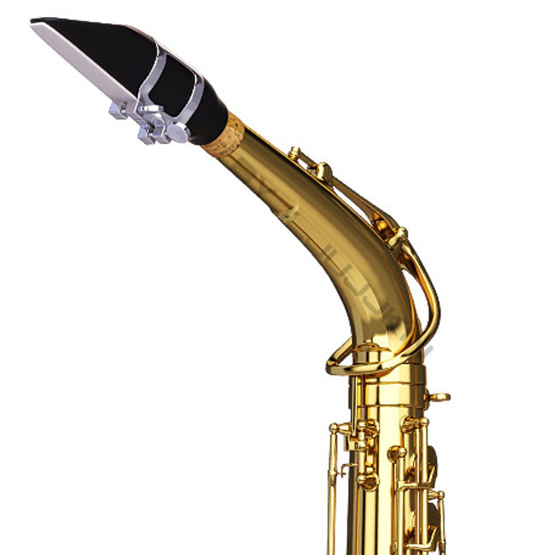 alto saxophone 3d model https://p.turbosquid.com/ts-thumb/kY/pb1ZUl/woSVfZJa/alto_saxophone_det_2/jpg/1273775661/1920x1080/fit_q87/0eb1199dd5ad0bcd0493180c339d03685a9a4a1e/alto_saxophone_det_2.jpg