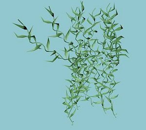 sea grass xml dxf