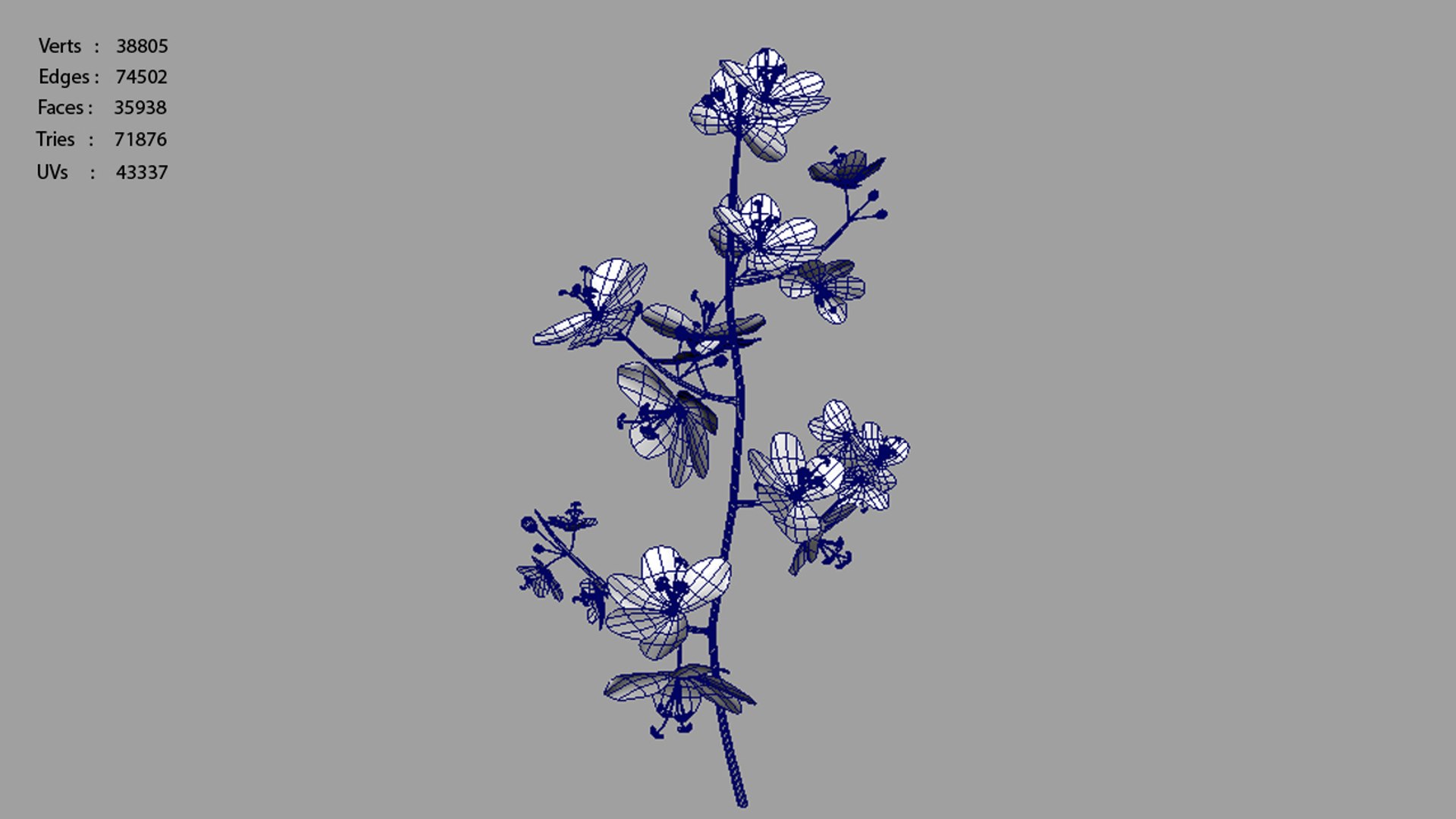 cassia trees 3d model https://p.turbosquid.com/ts-thumb/kZ/03JOyv/7oDkNsHe/cassia_polycount/jpg/1424346804/1920x1080/fit_q87/2ba43648fe70398168de686a06dc8c37db0c517c/cassia_polycount.jpg