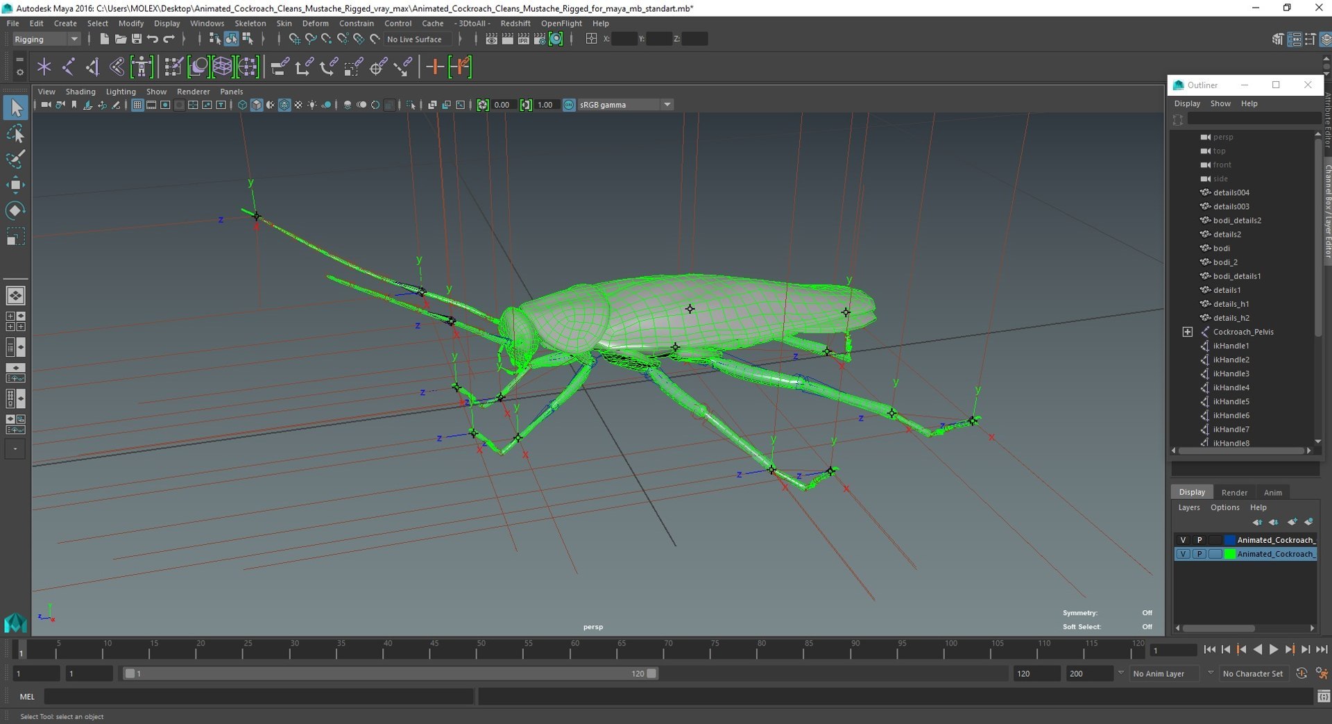 3D Rigged Animated Cockroach Collection For Maya - TurboSquid 2268603