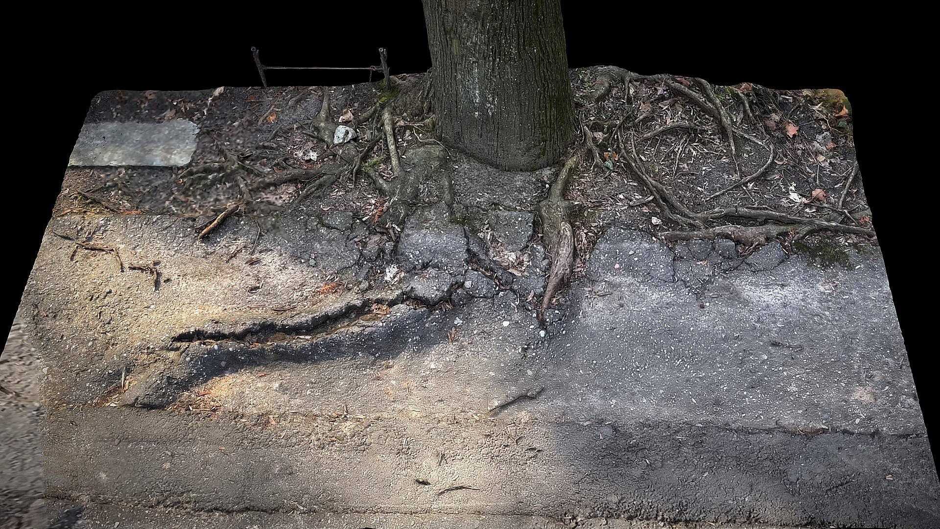 3D Tree Roots Road Asphalt Debris Part5 Photogrammetry - TurboSquid 2289659