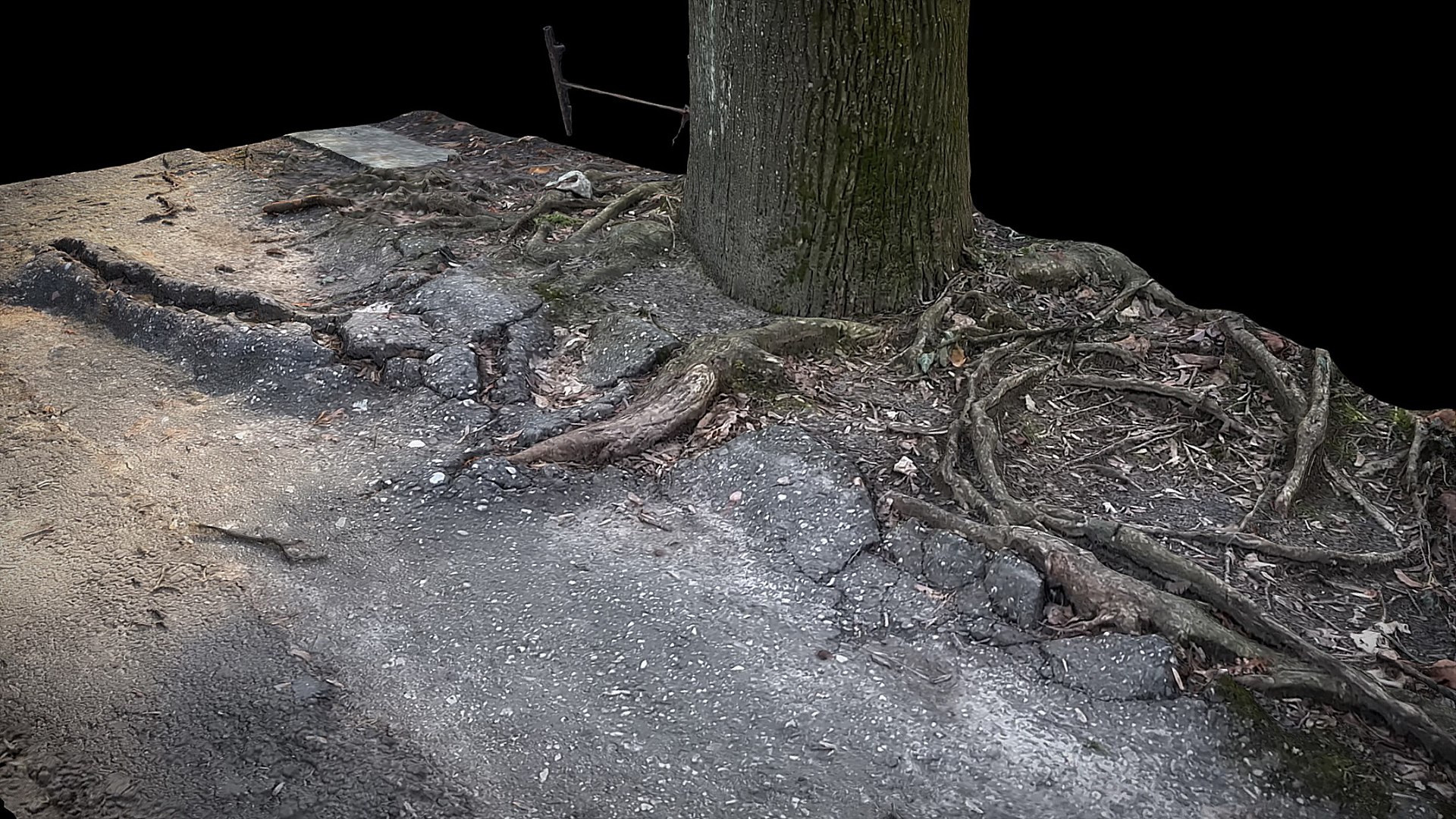 3D Tree Roots Road Asphalt Debris Part5 Photogrammetry - TurboSquid 2289659