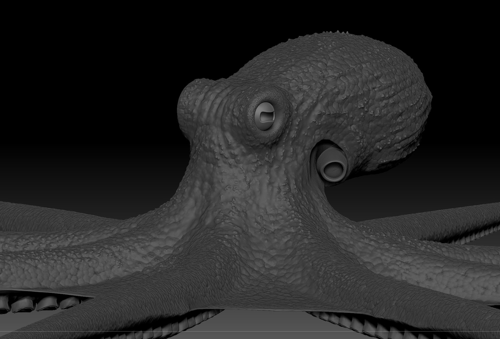 Octopus 3D Model - TurboSquid 1907599