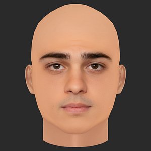 Low Poly Noah Centineo Head 3D model