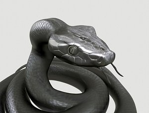 Realistic Black Mamba Snake