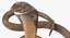 Beige Skin Cobra Rigged for Maya