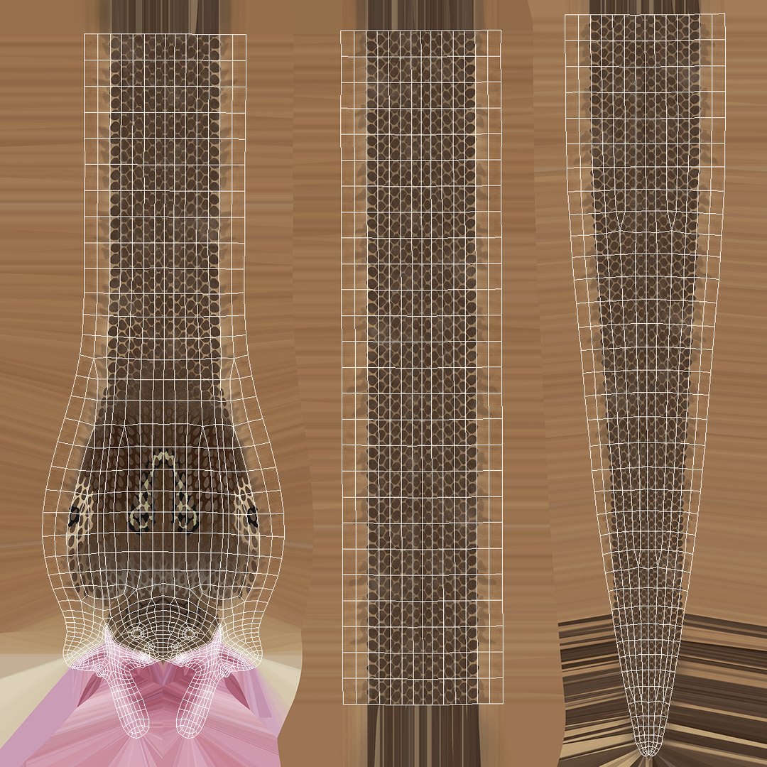 3D model beige skin cobra rigged https://p.turbosquid.com/ts-thumb/kZ/IC4WPg/8jQmtZZZ/beigeskincobrarigged3dsmodel026/jpg/1562028324/1920x1080/fit_q87/3a6f51e258d2b3b6aea2cd1f69871acc7df5a73b/beigeskincobrarigged3dsmodel026.jpg