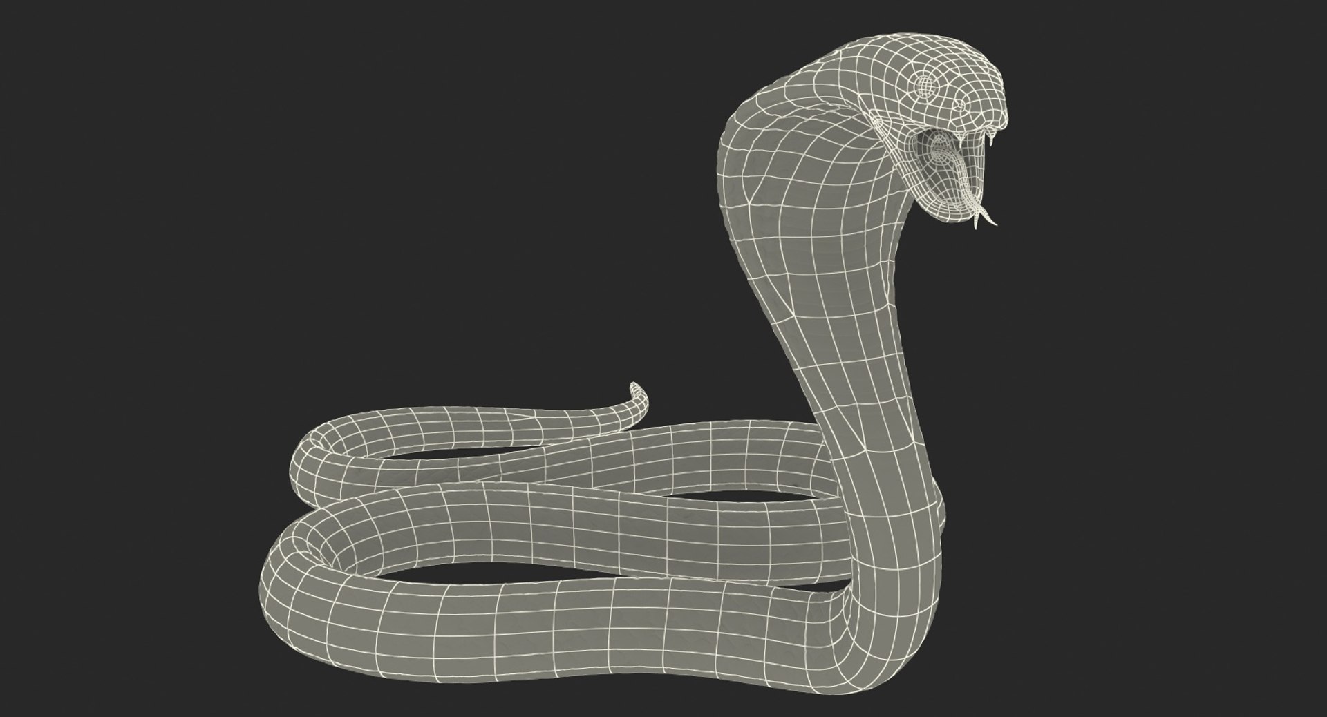 3D model beige skin cobra rigged https://p.turbosquid.com/ts-thumb/kZ/IC4WPg/BGqalODm/beigeskincobrarigged3dsmodel029/jpg/1562028334/1920x1080/fit_q87/d2d24b08712498ecadd57a34b2f16e77257e3b3c/beigeskincobrarigged3dsmodel029.jpg