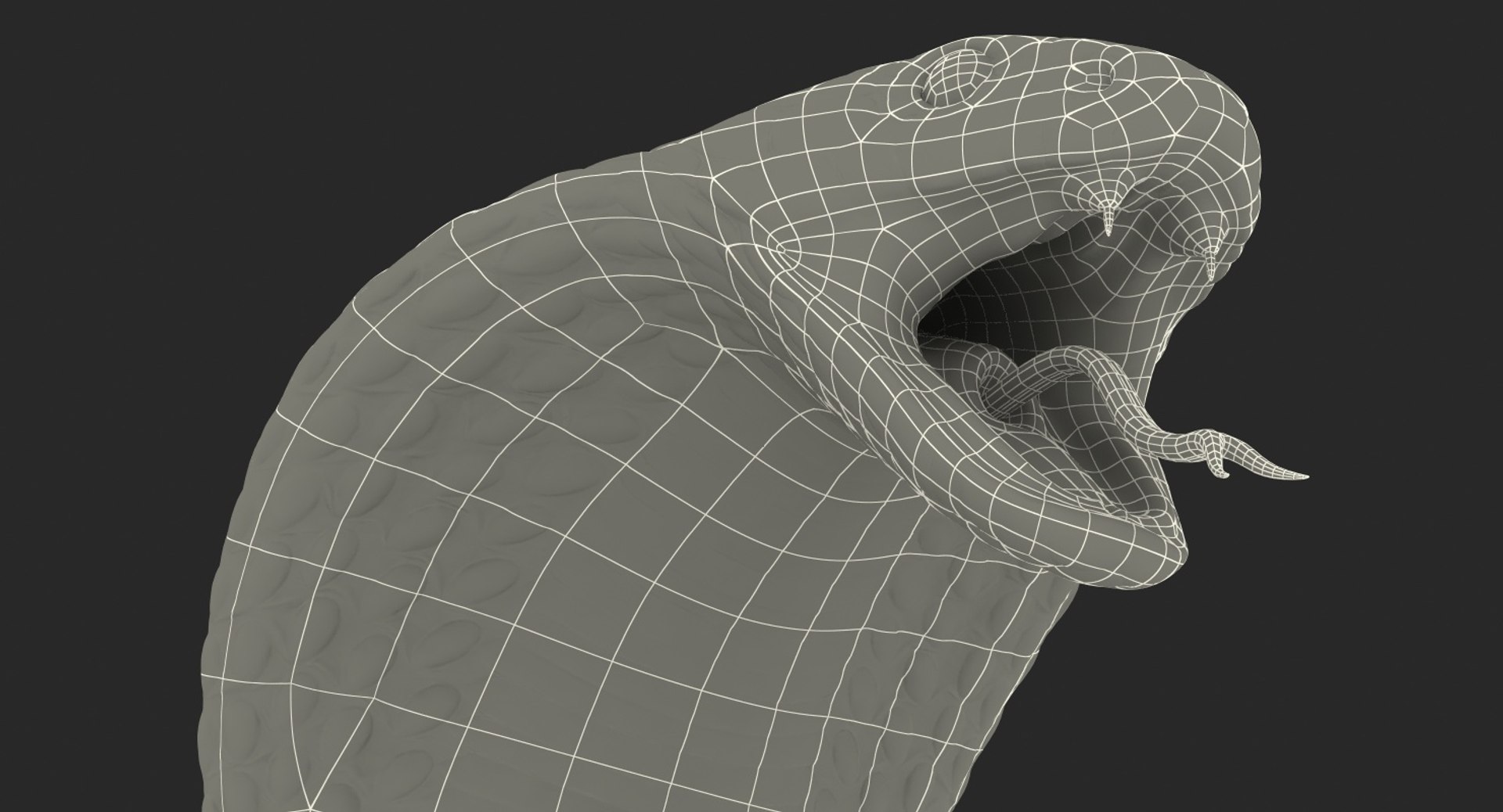 3D model beige skin cobra rigged https://p.turbosquid.com/ts-thumb/kZ/IC4WPg/VhZQyJIk/beigeskincobrarigged3dsmodel031/jpg/1562028340/1920x1080/fit_q87/dc087b575a5839be3a078bd955e931467d374d0c/beigeskincobrarigged3dsmodel031.jpg