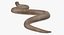 Beige Skin Cobra Rigged for Maya