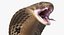 Beige Skin Cobra Rigged for Maya