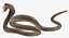 Beige Skin Cobra Rigged for Maya