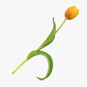 tulip single laying yellow 3d max
